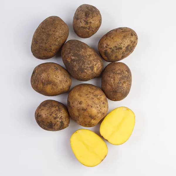 Картофель белый, 1,5 кг
