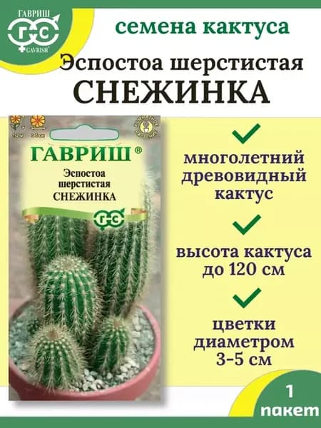 Семена Кактуса Эспостоа шерстистая снежинка
