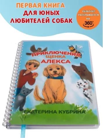 Книга приключения для детей, 20 детских рассказов | Кубрина Екатерина