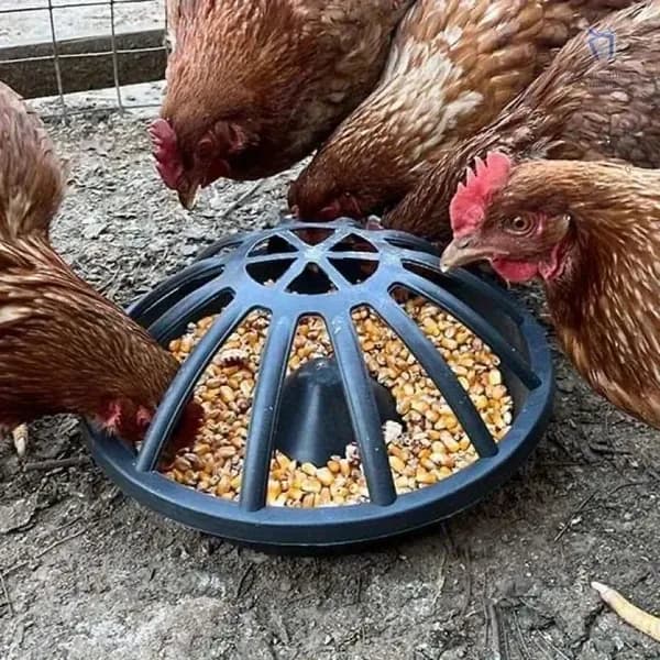 Пластиковые кормушки для домашней птицы (кур, уток, гусей) с защитными крышками.