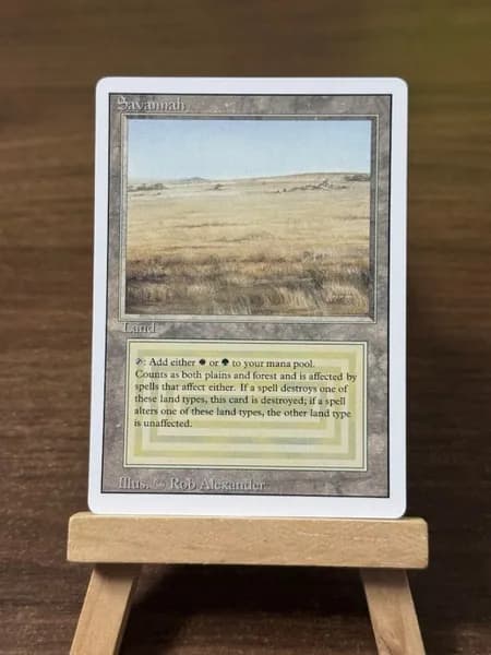 Заголовок: Волшебство в твоих руках: Уникальная карта Magic: The Gathering (MTG) с защитным протектором в подарок!