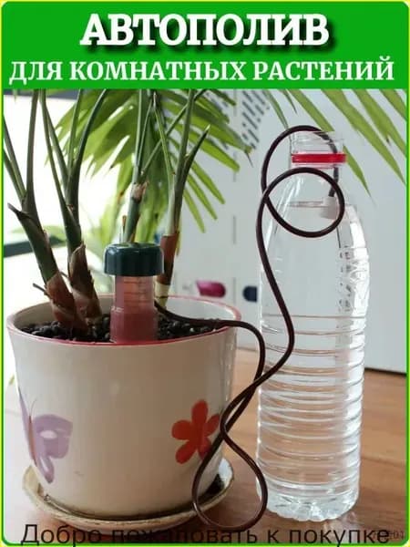 Автополив 0 л, 3 см, 2 шт, цвет бежевый