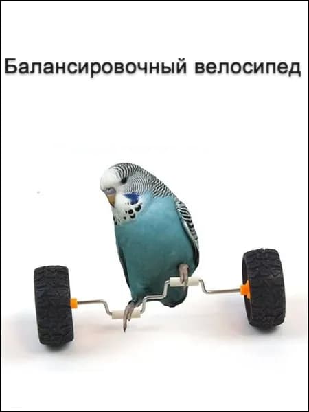 Игрушка для животных из резины, прочная и безопасная