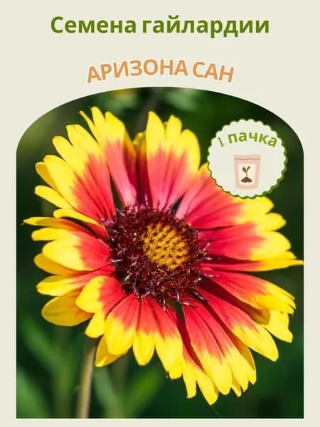 Гайлардия Аризона сан, 10 шт. семян