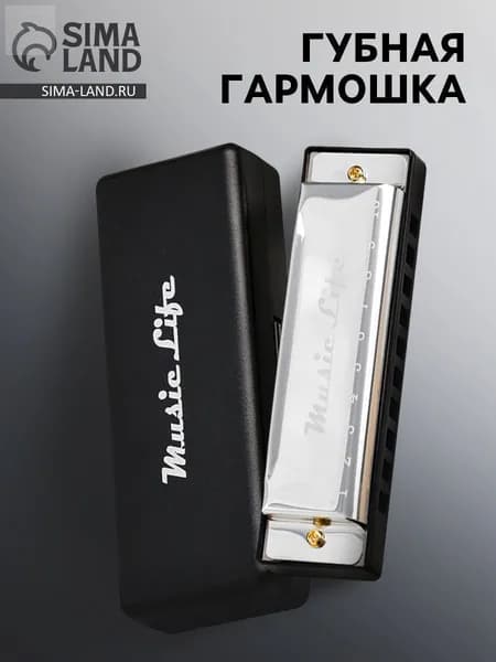 Губная гармошка диатоническая, C-major, с футляром, серебристая