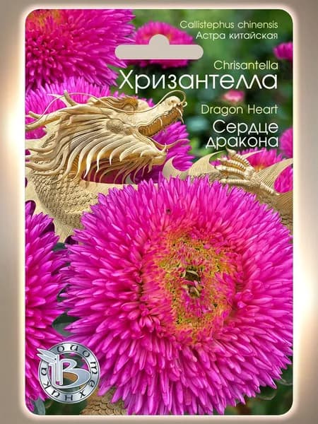 Астра китайская Хризантелла Сердце Дракона (семена БИОТЕХНИКА, 30 шт.)