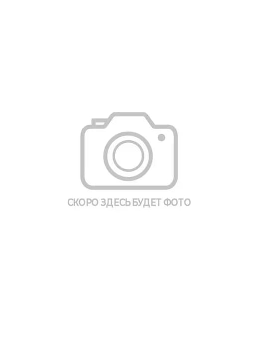 Шарики для пневматики Borner Silver 4 5 мм (250 шт оцинкова