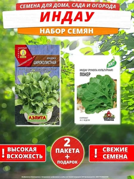 Семена индау для дома сада посадки