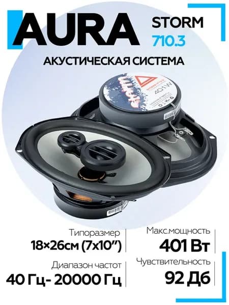 Динамики автомобильные STORM-710.3