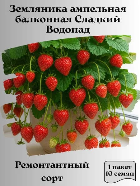 Земляника ампельная балконная Сладкий Водопад, семена, 10 шт., 15 гр.