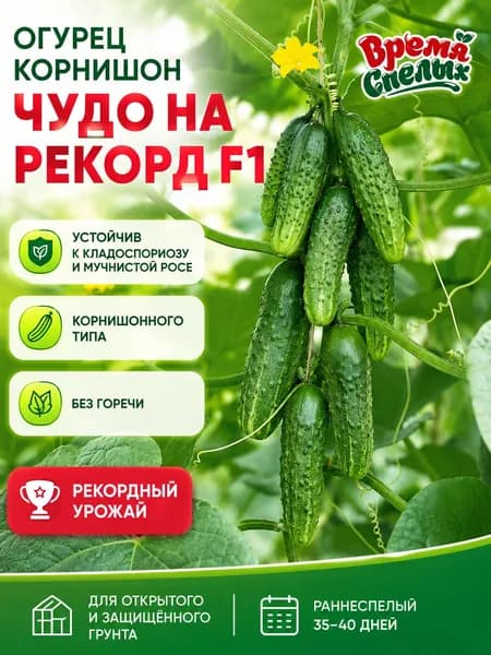 Семена огурцов самоопыляемые для открытого грунта ЧУДО НА РЕКОРД