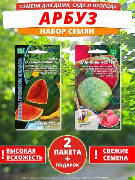 Семена арбуз для дома сада посадки