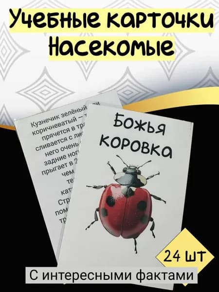Развивающие карточки (Насекомые)