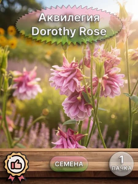 Аквилегия гибридная Dorothy Rose, семена 10 шт