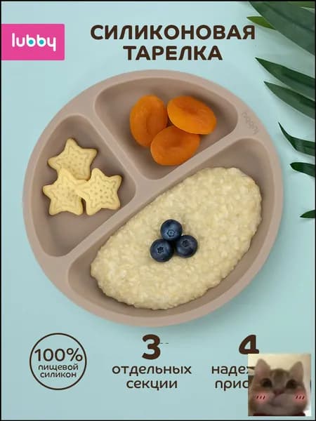 Тарелка детская на присоске, секционная, 6+-скидк