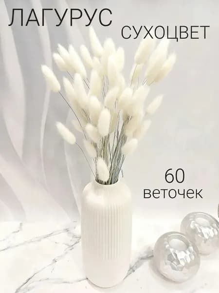 Сухоцветы Лагурус, 55 см, 100 гр, 60 шт