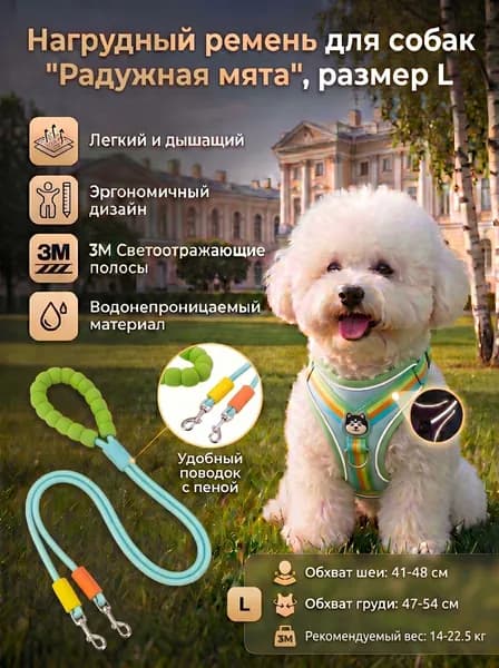 Шлейка для кошек собак мелких пород с поводком, размер S,M,L