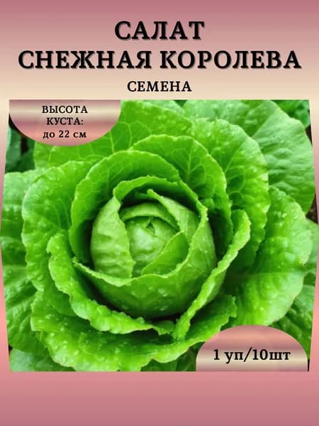 Салат "Снежная Королева" семена, 1 пачка