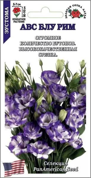 Эустома АВС Блу Рим /Сотка/ 5 шт/ бело-фиолет. h-110см d-7см PanAm/*
