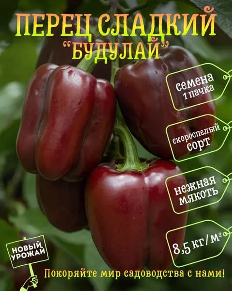 Перец сладкий Будулай, семена, 10 шт.