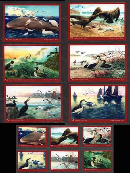 Спичечные этикетки СССР. Морские птицы. Редкий коллекционный набор.