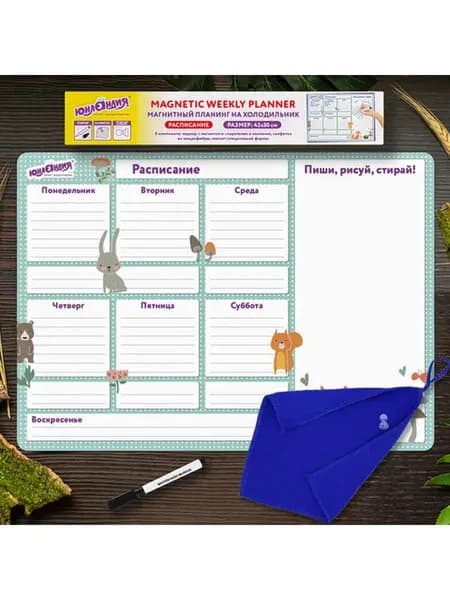 Планинг на холодильник магнитный РАСПИСАНИЕ 42х30 см, с маркером и салфеткой