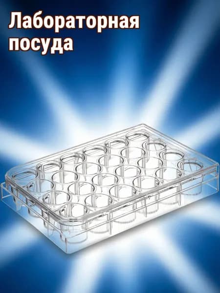 Прозрачная культуральная пластина из пластика с 24 лунками для лаборатории