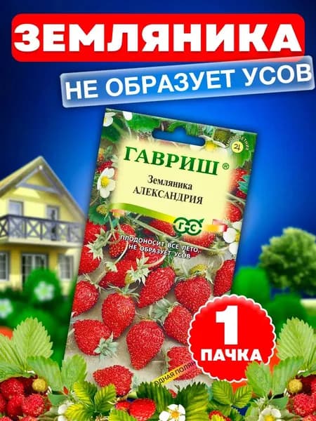 Семена Земляника Александрия