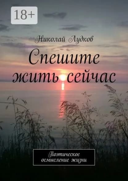 Спешите жить сейчас. Поэтическое осмысление жизни | Лудков Николай Анатольевич | Электронная книга