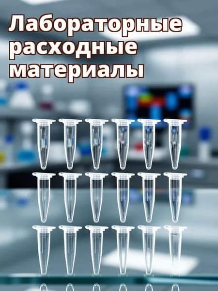 Центрифужные пробирки с коническим дном из пластика 1,5 мл прозрачные для лабораторных исследований, 50 штук