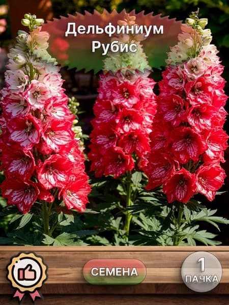 Дельфиниум Рубис, семена 10 шт.