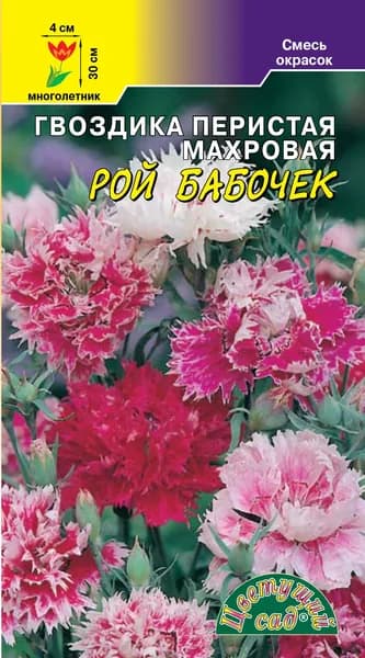 Гвоздика перистая махровая Рой бабочек, семена 10 шт