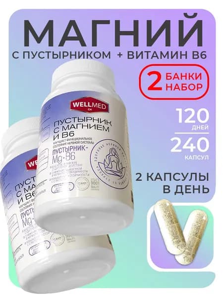 WELLMED CH Набор 2в1 Магний B6 с пустырником для нервной системы для взрослых, бад от стресса, 240 капсул