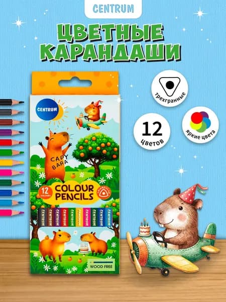 Карандаши цветные пластиковые мягкие для рисования, для школы, набор 12 цветов