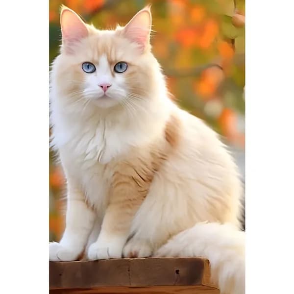 Диамантная картина Кот из смолы 30 45 см