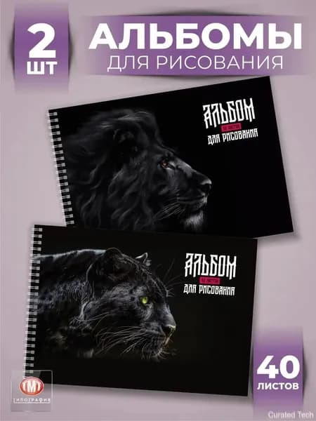 Альбом Рисование A4 2 шт., листов: 40