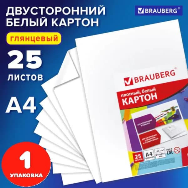 Картон белый А4 МЕЛОВАННЫЙ (белый оборот), 25 листов, 210х297 мм (1 упаковка)