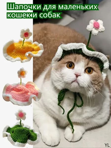 Вязаные шапочки для кошек и собак