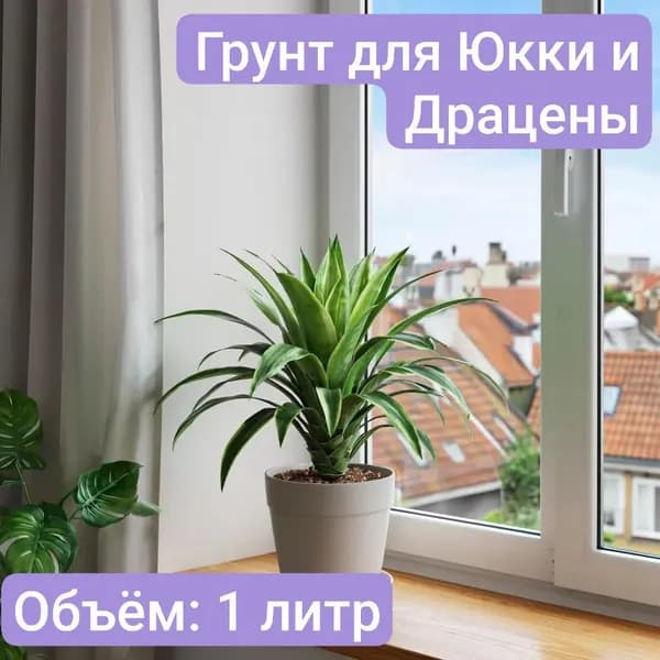 Авторский грунт для Юкки и Драцены 1 литр