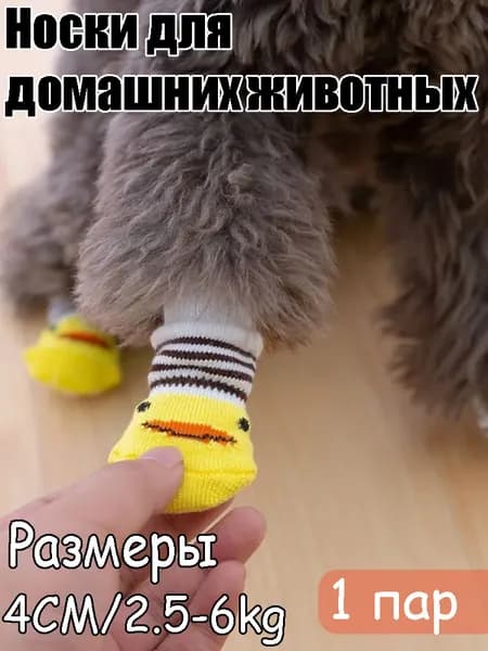 Красивые носочки для собак мелких пород