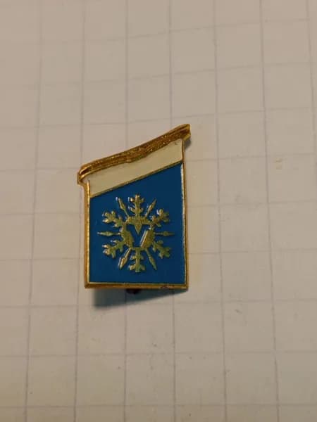 Значок "Снежинка с буквой V"