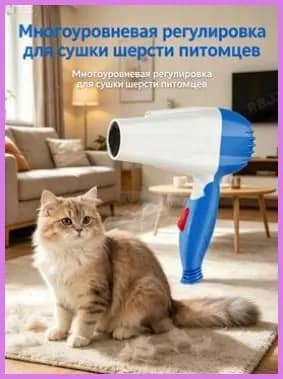 Фен для волос CGADWA_4989688_1784039438573 120 Вт, скоростей 1, кол-во насадок 1, лазурный
