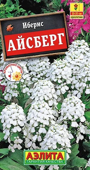 Семена Иберис Айсберг однолетний (0,2г) - Аэлита