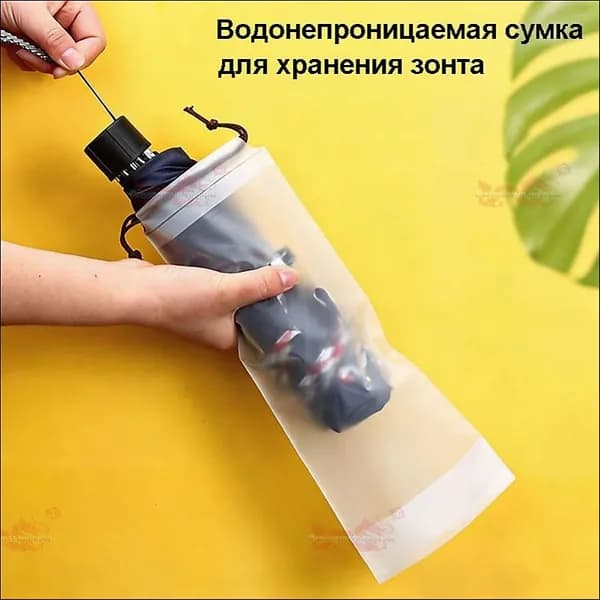 Зонт