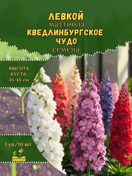 Левкой (Маттиола) "Кведлинбургское Чудо, смесь" семена, 1 пачка