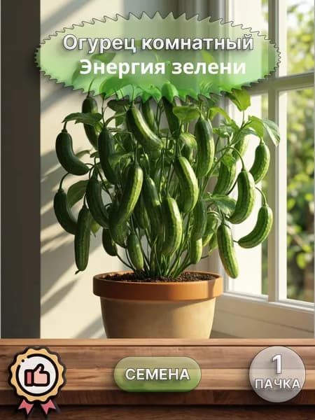 Огурец комнатный Энергия зелени, семена, 10 шт.
