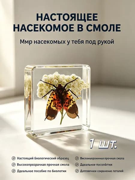 Образцы из эпоксидной смолы для научного образования