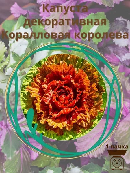 Капуста декоративная Коралловая королева 10 шт. семян