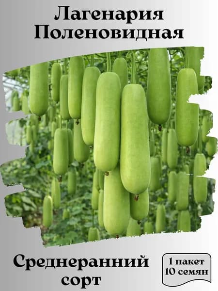 Лагенария Поленовидная, семена, 10 шт.