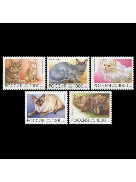 Почтовые марки России. 1996 год. "Домашние кошки". Серия из 5 марок